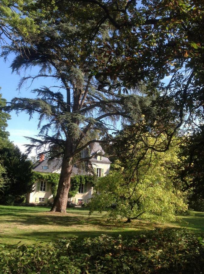 Chateau De La Villette Ardentes Ngoại thất bức ảnh